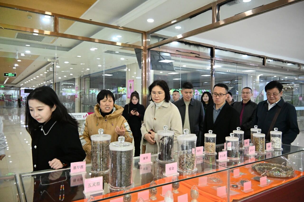 走访会员企业 共绘发展蓝图 | 河北省重庆商会一行走进石家庄天使护士学校